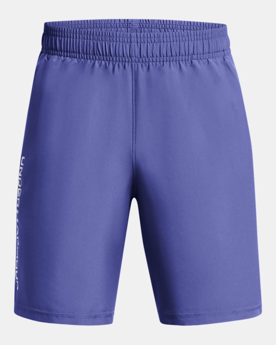 Boys' UA Tech™ Woven Wordmark Shorts, Purple, pdpMainDesktop image number 0